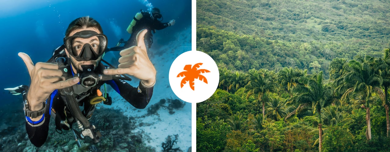 Un plongeur lève le pouce sous l'eau, et des collines de forêt tropicale